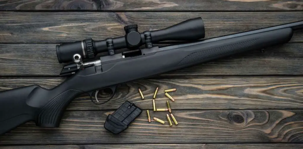 22lr rifle with scope