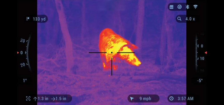 Thermal Scope image while hunting a Boar
