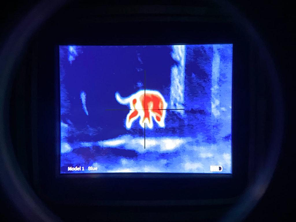 Burris BTS Thermal Picture of a dog