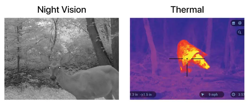Thermal vs. Night Vision Example with deer and boar