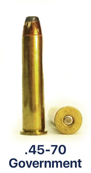 45-70 Government Bullet Cartridge