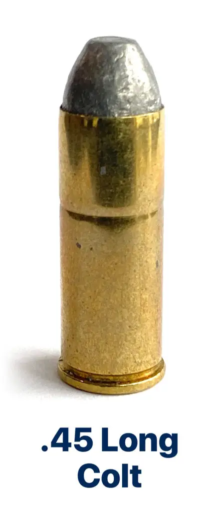 45 Colt Bullet Cartridge
