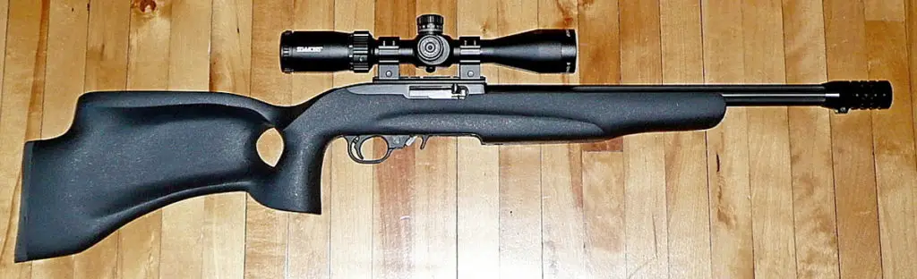 Ruger 10/22 Rifle with Scope