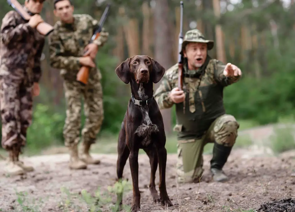 3 Men hunting with a dog while wearing camo coveralls