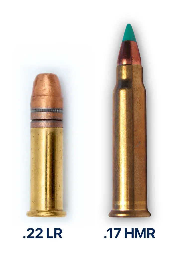 22 LR vs. 17 HMR