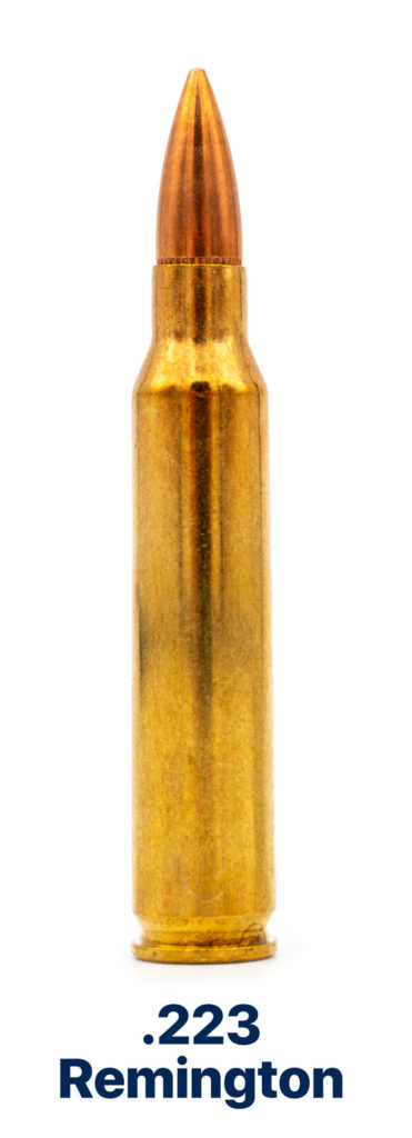 223 Remington Bullet