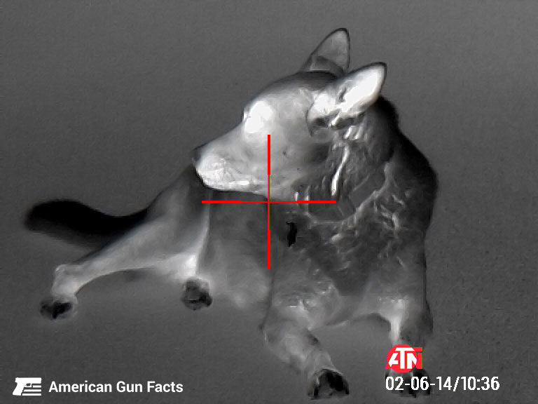 Thermal image by the Thor 4 Scope of a dog