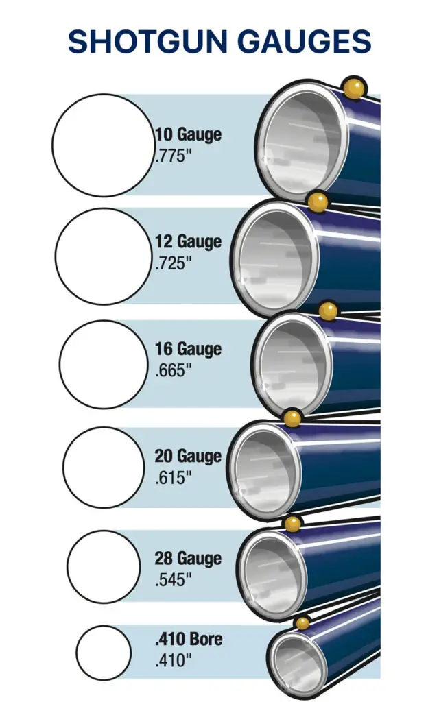 Shotgun Gauges Chart including 10 ga, 12 ga, 16 ga, 20 ga, 28 ga, 410 bore