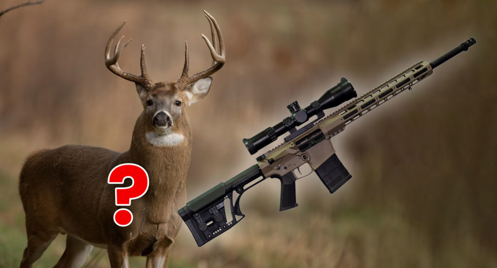 Where to shoot a deer with a 223 rifle