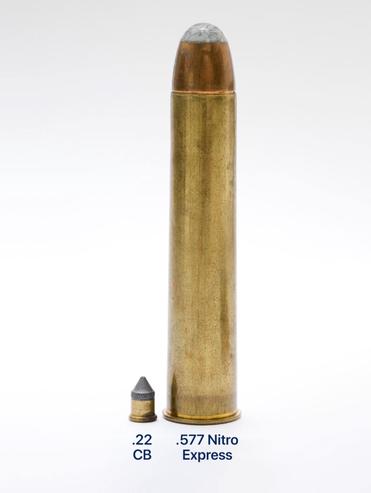 elephant gun bullet