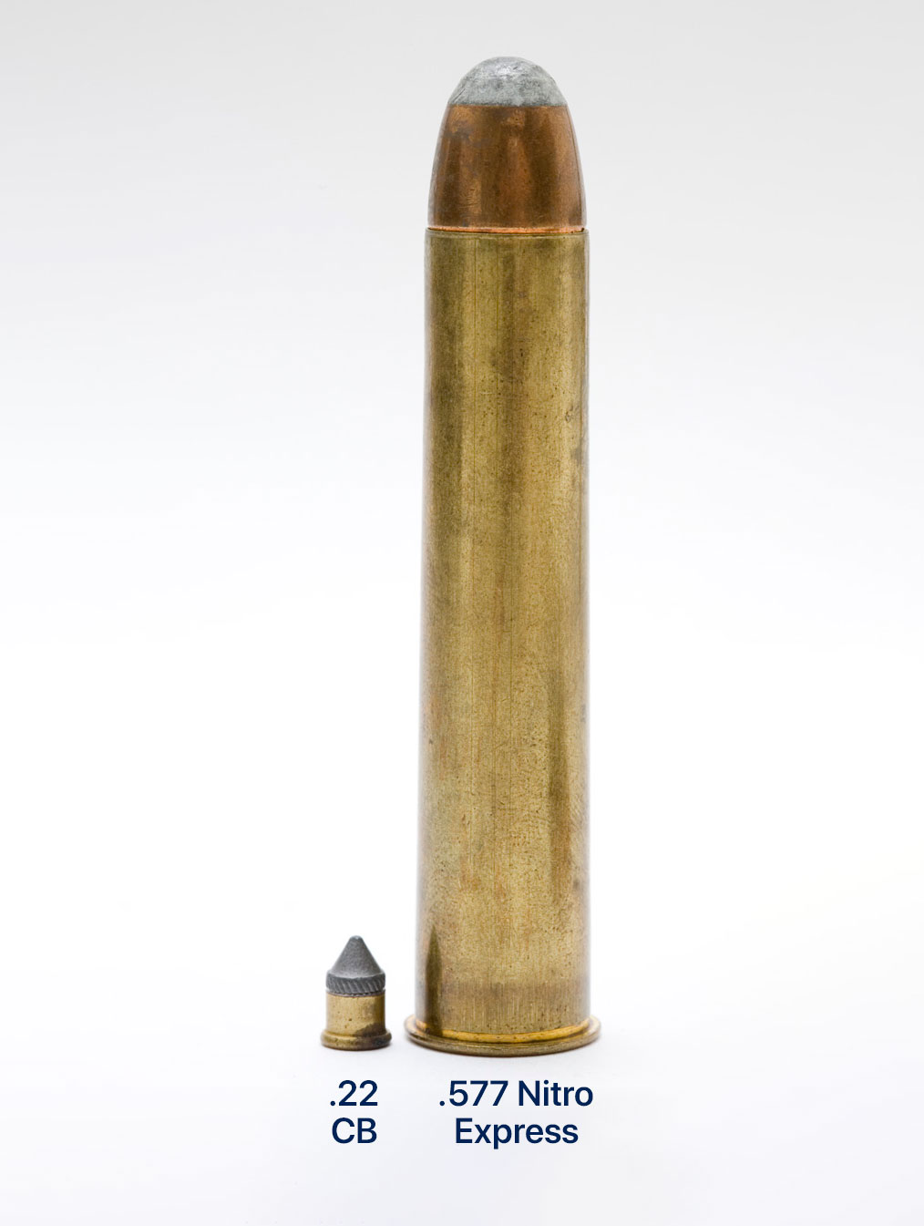 What caliber is an elephant gun 