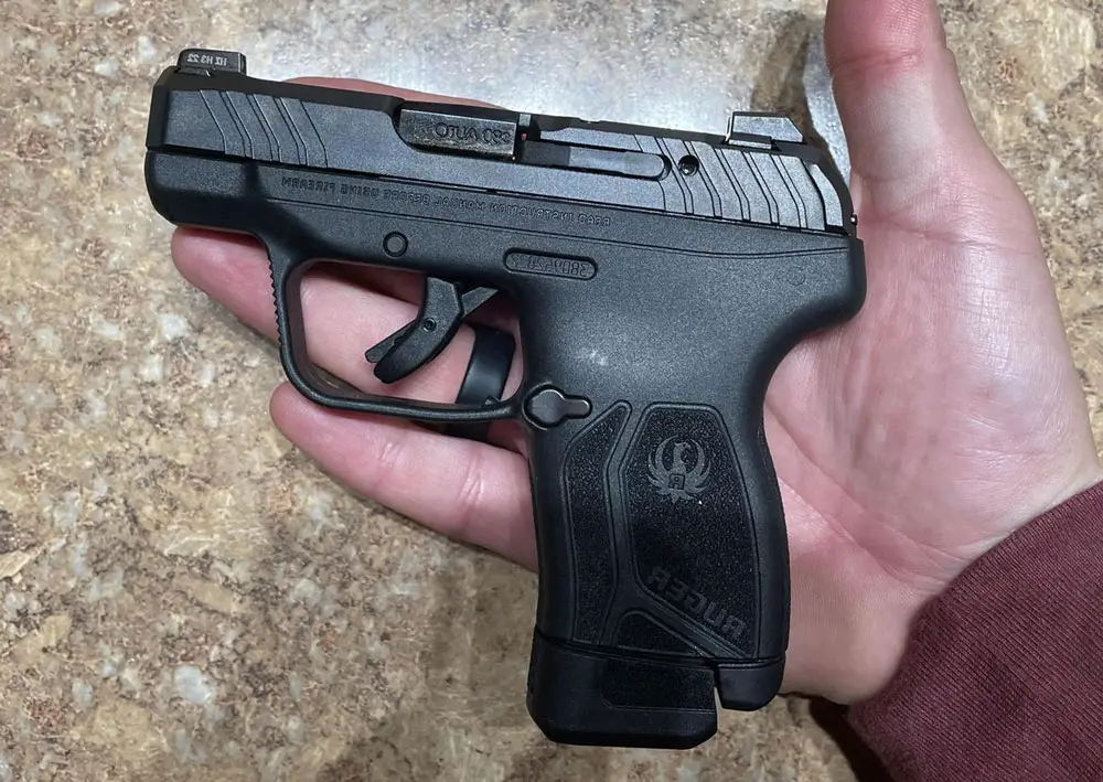 Ruger LCP Max in hand