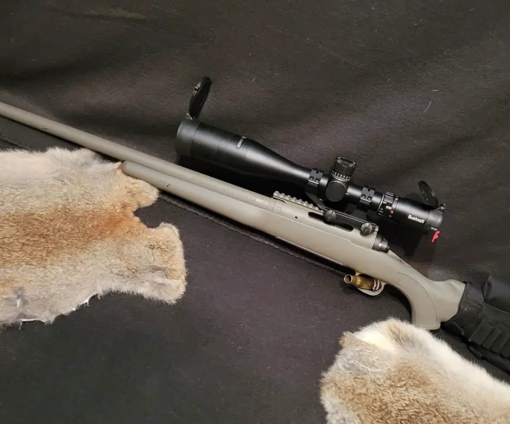 Bushnell Forge Rifle Scope