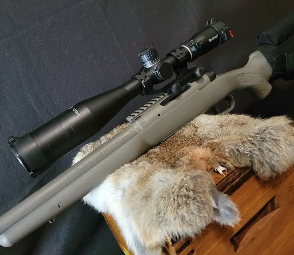 Bushnell Forge Rifle Scope with rifle
