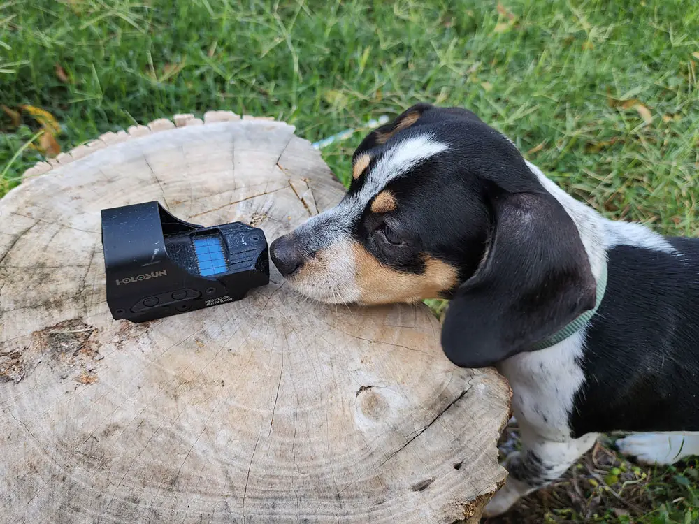 Holosun 510c reflex sight with puppy