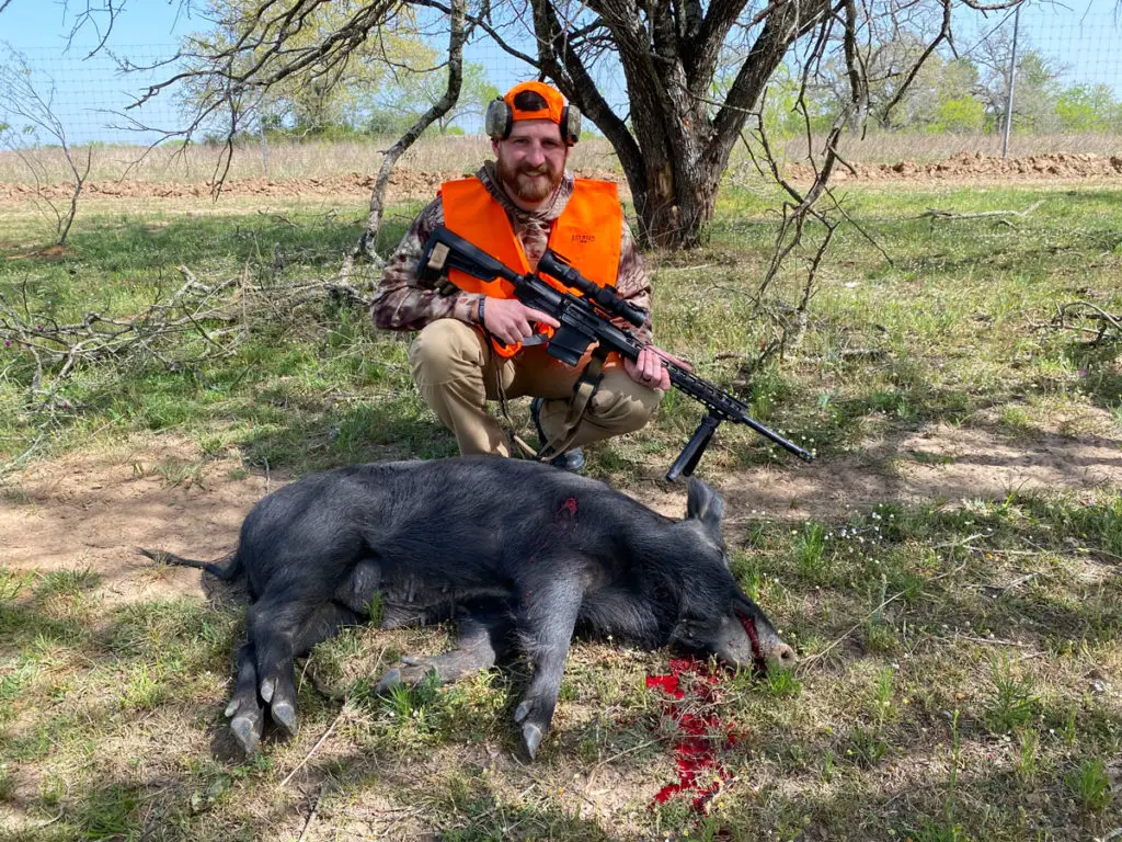 Sig Sauer Tango MSR hog hunting