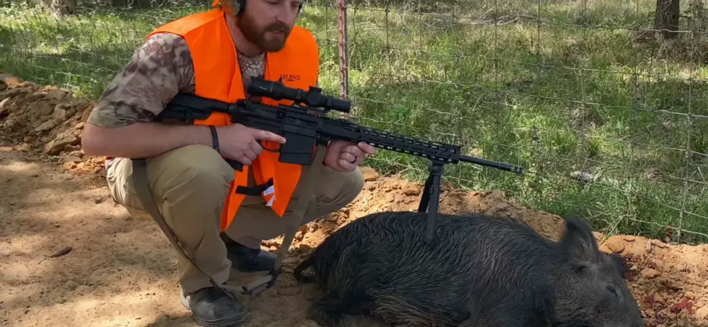 Sig Sauer Tango MSR hog hunting in Texas