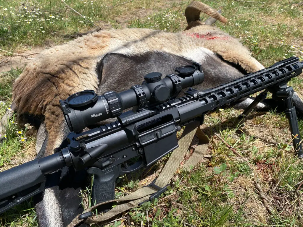 Sig Sauer Tango MSR with shot animal game