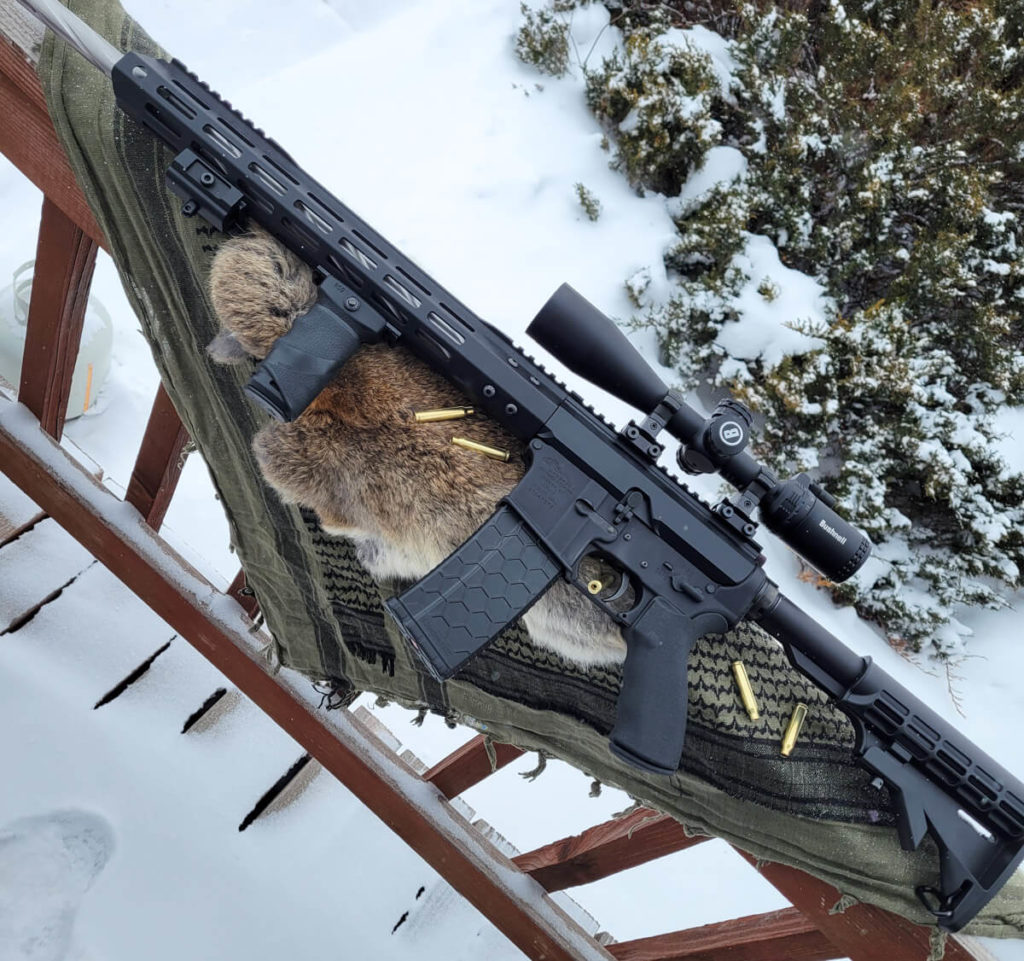 Bushnell AR Scope mounted on an AR15 rifle sitting outside in the snow