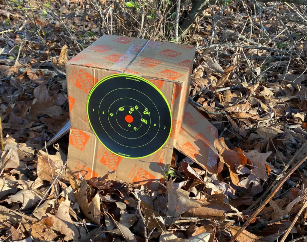 Target on cardboard box for practice with Henry 22