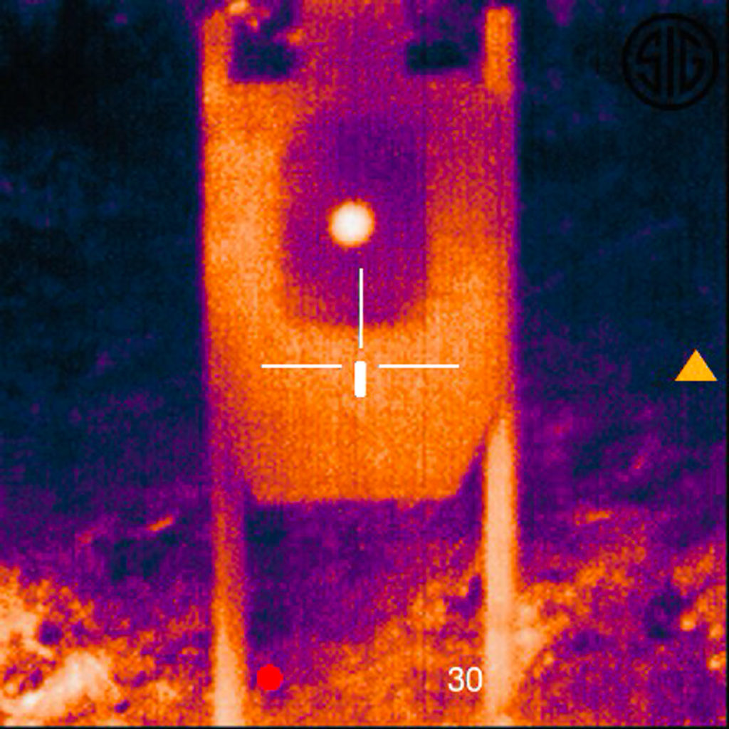 Sig Sauer Echo 3 Thermal Scope view of target in scope