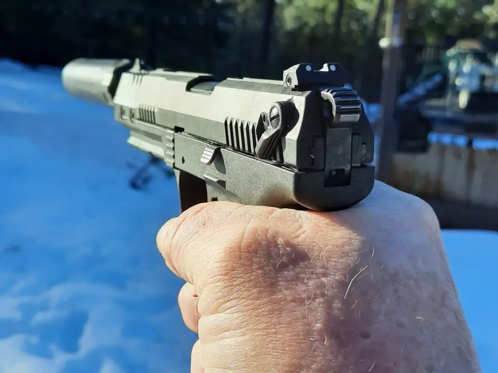 Shooting the Walther P22 pistol