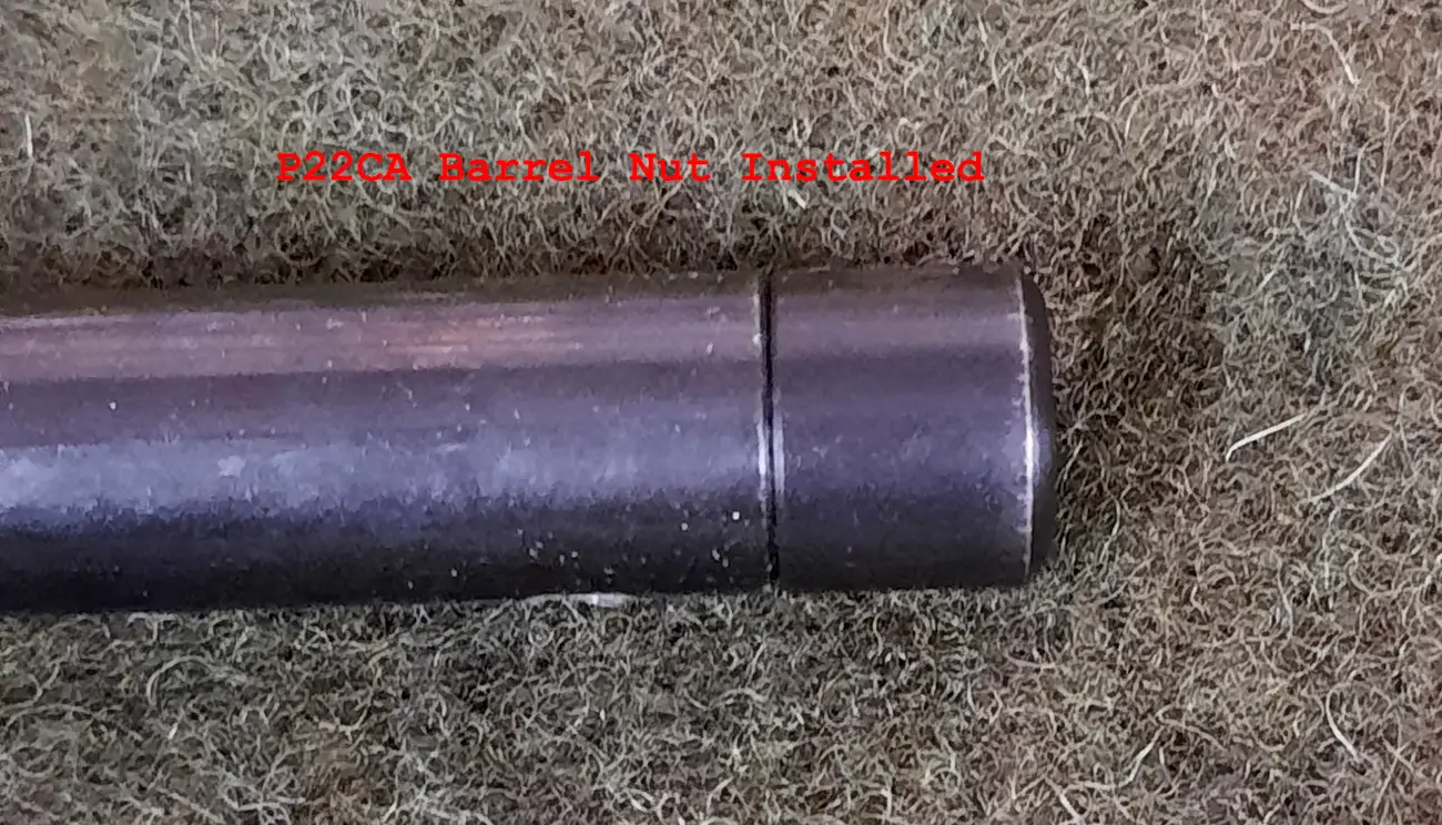 Walther P22 [REVIEW]