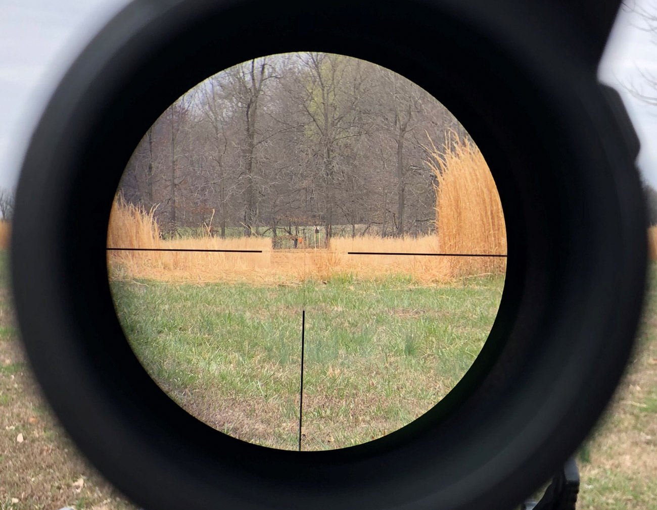 REVIEW: Arken SH4 Gen2 Scope