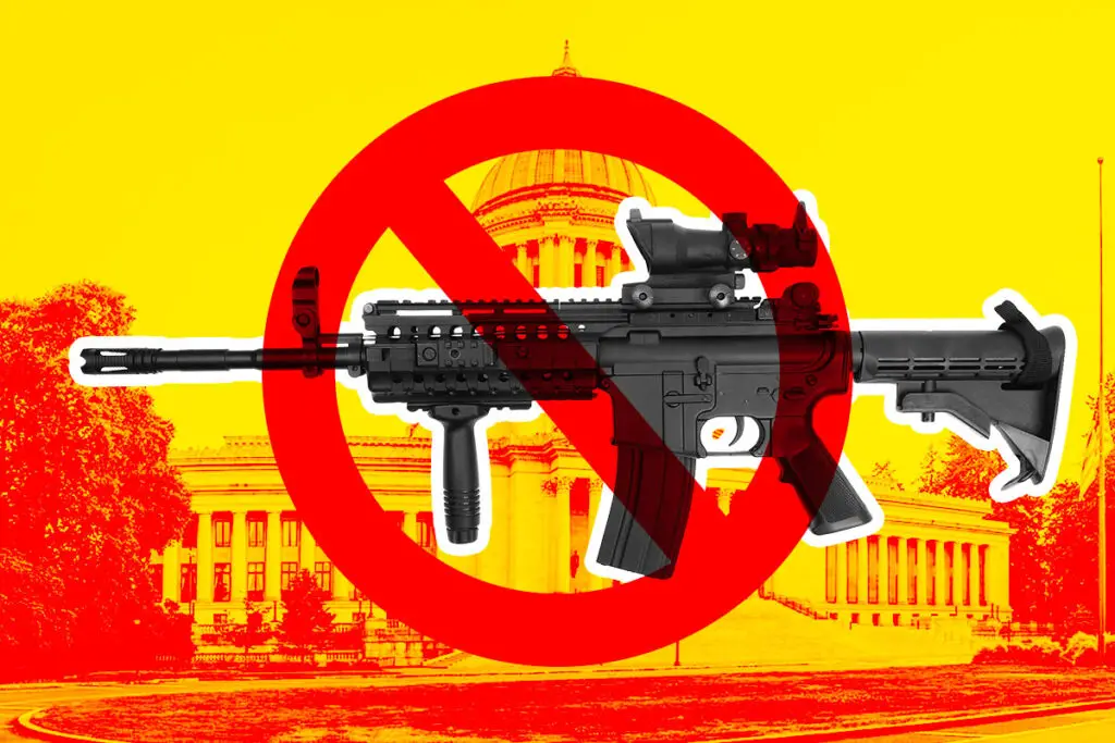 Washington Gun Ban