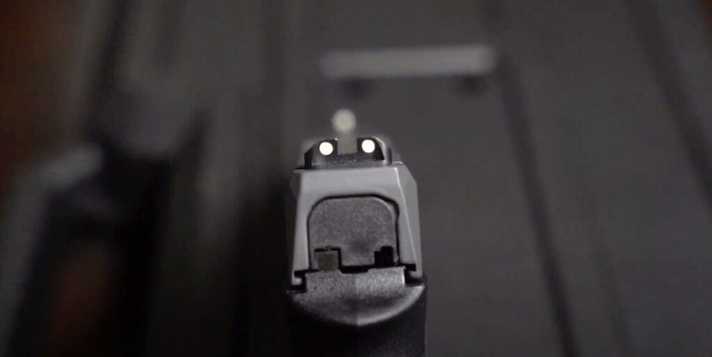 PSA Dagger Iron sights